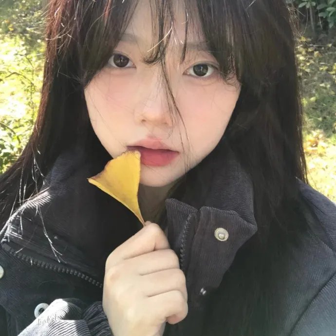 扬帆