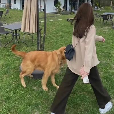 异轨姝途
